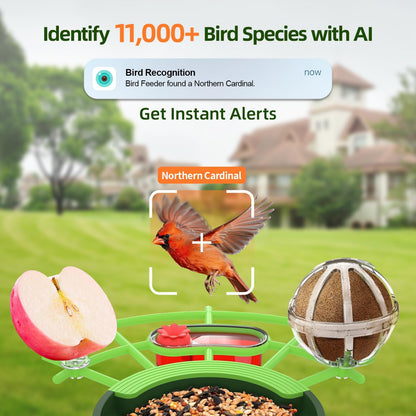 Smart Bird Feeder with Camera – 2K Live View, AI Bird Recognition, Squirrel-Proof, Dual Solar Roof, 5dB Antenna, Instant Alerts for Nature & Wildlife Lovers, Green