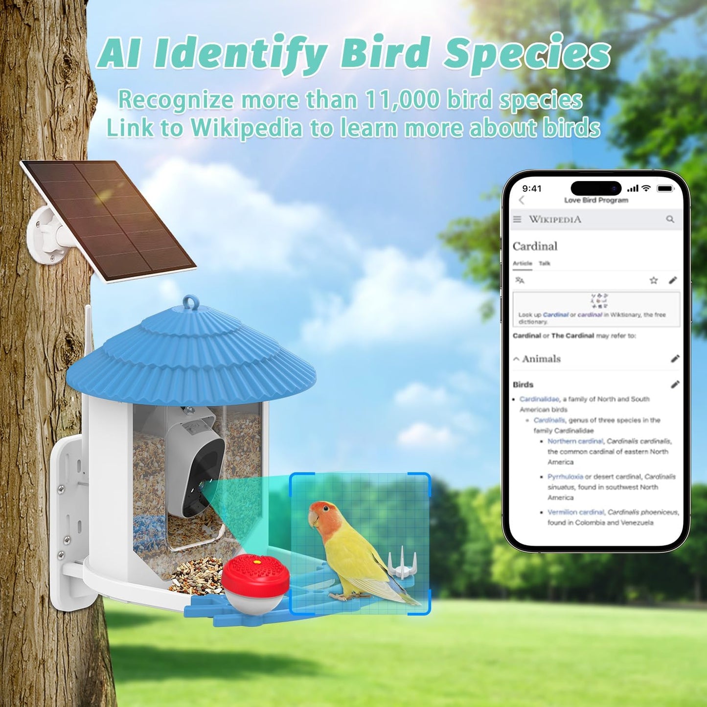 Smart Bird Feeder with Camera, Solar Powered Birds Watching Camera, 2K Night Vsion, AI Identify, Auto Capture & Live Video Watch Birds, Built-in TF, Ideal Gift for Outdoor Bird Watching Lover