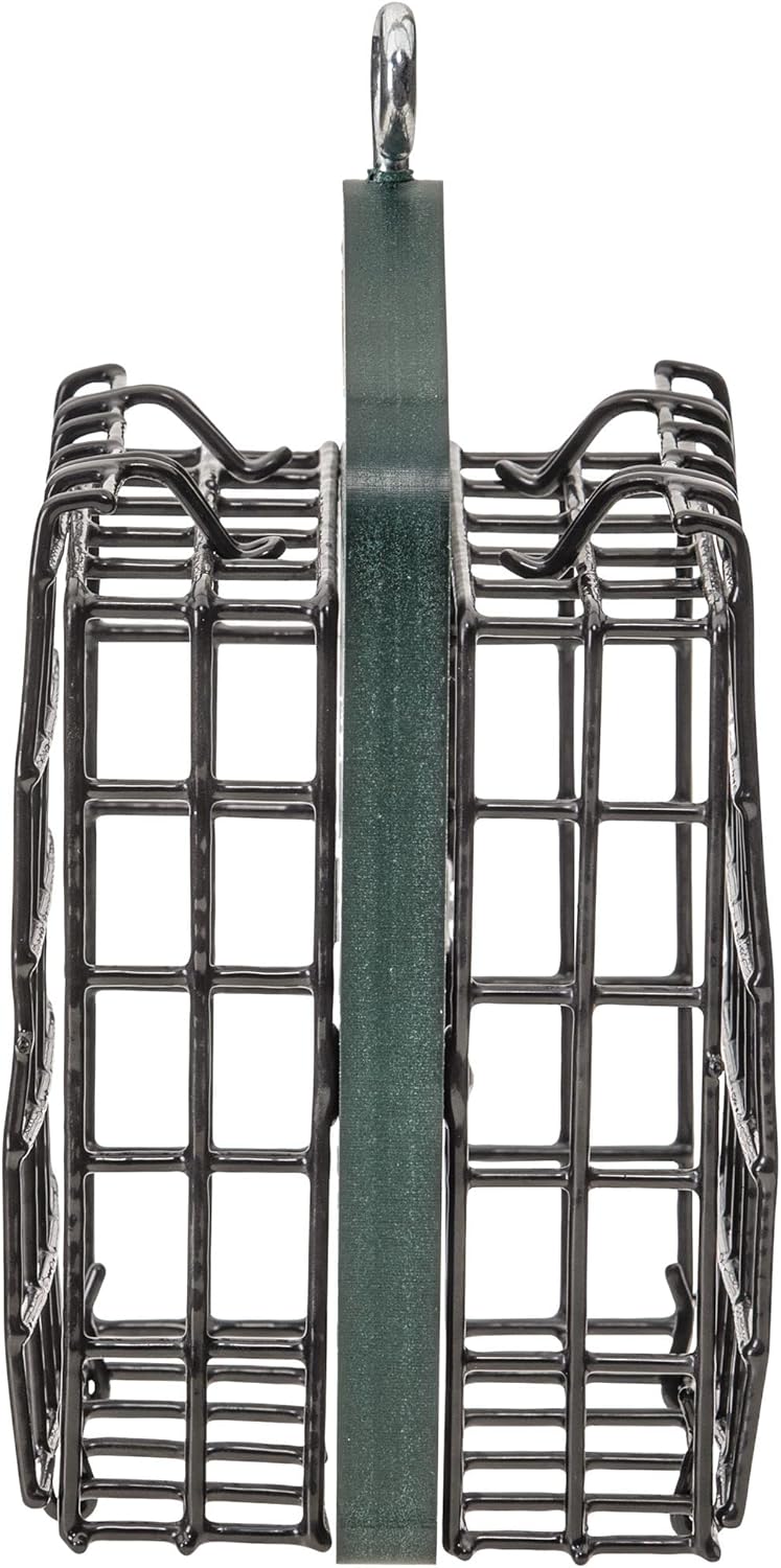 Bird's Choice Suet Feeder for Two Cakes in Evergreen Recycled Plastic