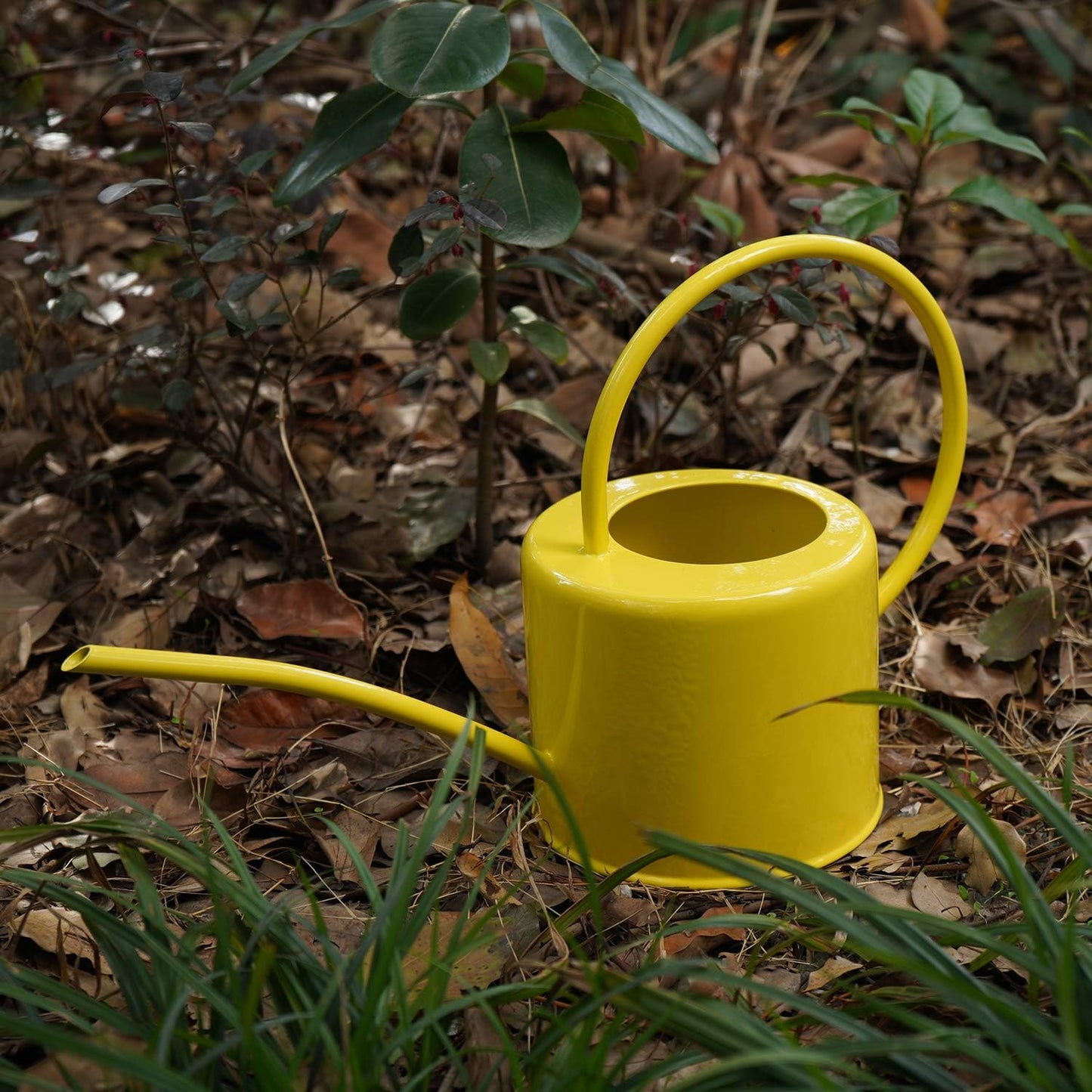 Metal Watering Can Modern Style Watering Pot with Handle and Long Spout Watering Can Garden Tools 57 Oz/1.7,Yellow