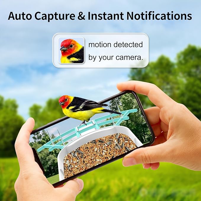 Smart Bird Feeder with Camera,AI Identify Birds Breed,Solar Powered WiFi FHD 2K Live View Camera,Auto Capture Video,Backyard Garden Bird Watching,Motion Detection,Cloud and SD Card Storage,Blue