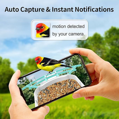 Smart Bird Feeder with Camera,AI Identify Birds Breed,Solar Powered WiFi FHD 2K Live View Camera,Auto Capture Video,Backyard Garden Bird Watching,Motion Detection,Cloud and SD Card Storage,Blue