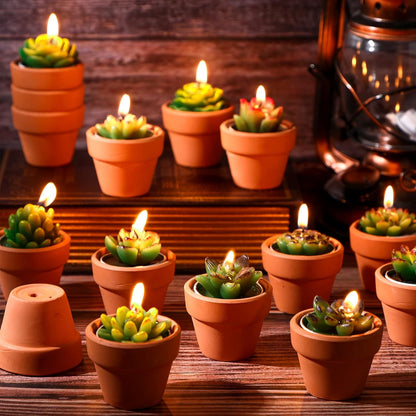 Shihanee 48 Pcs Succulent Cactus Decorative Tealight Baby Shower Plant Candles Bridal Shower Novelty Handmade Tealight Terrarium Plant Candles for Fiesta Birthday Wedding Party(Red)