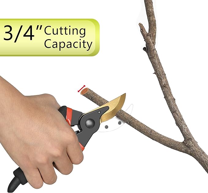 5 pack Garden Pruning Shears Stainless Steel Blades, Handheld Scissors Set with Gardening Gloves,Heavy Duty Garden Bypass Pruning Shears,Tree Trimmers Secateurs, Hand Pruner (Classic)