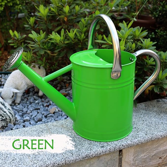 Metal Watering Can, One Gallon Watering Cans Stainless Steel for Outdoor Indoor Garden Plants Watering (Stainless Steel Handle Green)