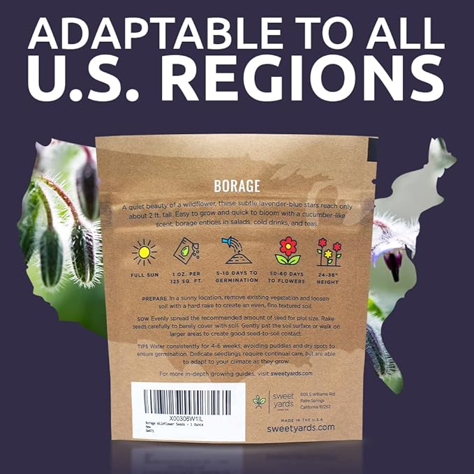 Borage Seeds – Extra Large Packet – Over 1,200 Open Pollinated Non-GMO Wildflower Seeds – Borago officianalis