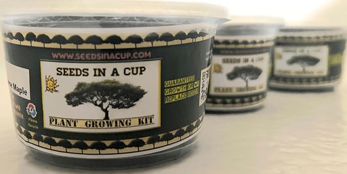 Tree Starter Kit - Japanese Maple