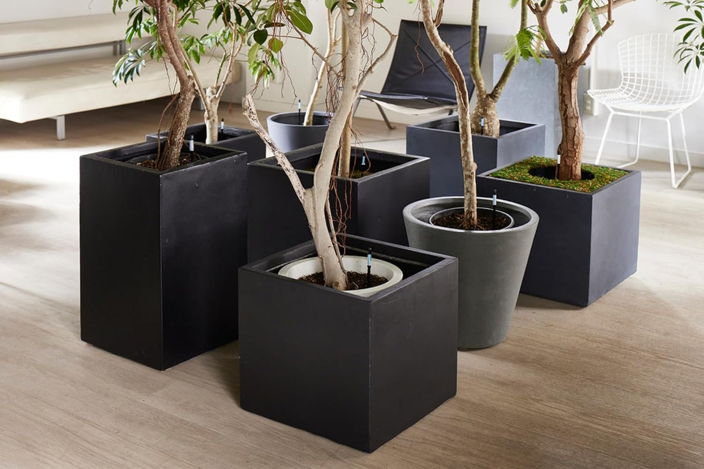 Sustee Aquameter - Small - Black - Bundle of 12 - Leave-in Soil Moisture Meter for Potted Plants - Plant Water Sensor - Refillable