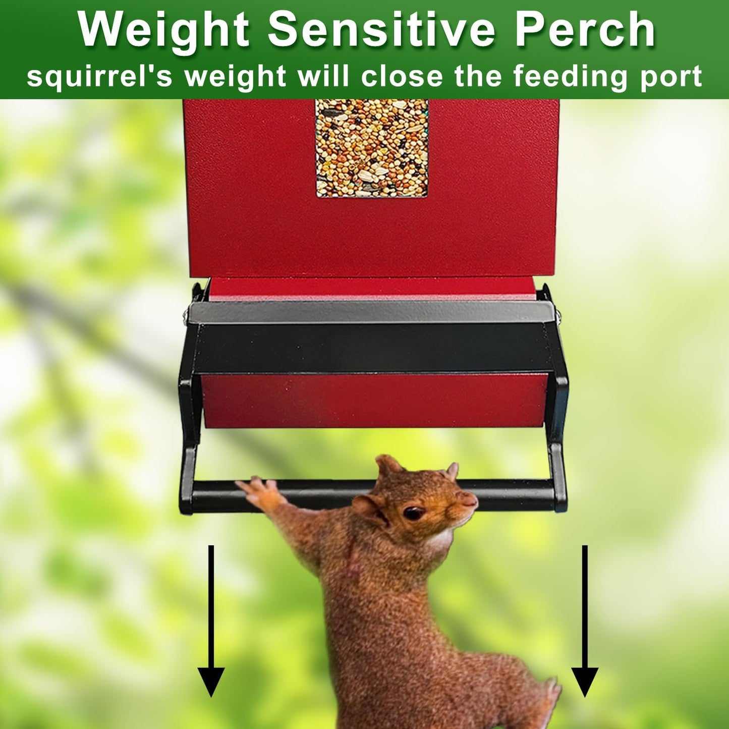 Squirrel Proof Bird Feeder, 6LBS Hanging Bird Seed Feeders for Outdoors, Weight-Activated Perches Metal Wild Birdfeeder for Blue Jay, Cardinal, Garden (Red)