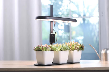 Indoor Garden Led Grow Light, 20W Full Spectrum LED Grow Lamp for Indoor Plants with Intelligent Controller, Height Adjustable, Ideal for Home Desk Plant Lighting (Black, Metal Base)