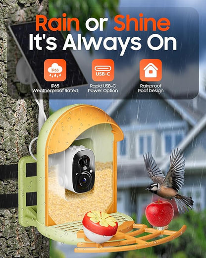 Camii Bird Feeder with Camera, Smart Birdfeeder with AI Identify Birds Species, 2K HD, Solar Powered, Night Vision, Real-Time Alert, IP66 Waterproof for Backyard Bird Watching Enthusiasts (Green)