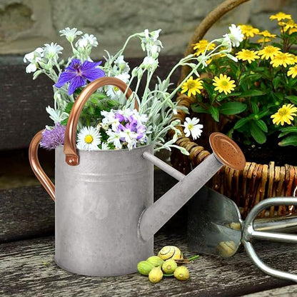 Metal Watering Can with Removable Spout, Galvanized Watering Can, Perfect for Indoor Use and for Outdoor Use (1 Gallaon, Green)