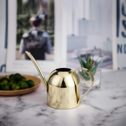 IMEEA Gold Watering Can for Indoor Plants, Orchid, Bonsai - Stainless Steel With Long Spout for House, Desk, Office - 15oz/450ml