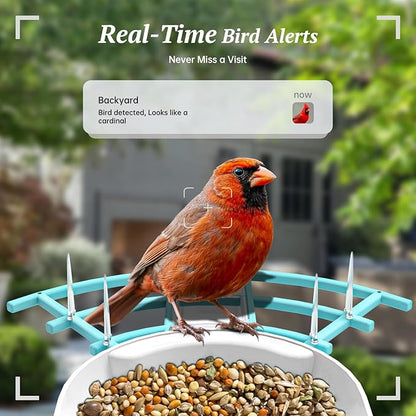 Smart Bird Feeder with Camera, 2K HD AI Identify Birds Species, Bir d Watching Camera with Solar Panel, Auto Capture Bird Videos & Instant Notifications, Ideal Present for Bir d Lover, Blue