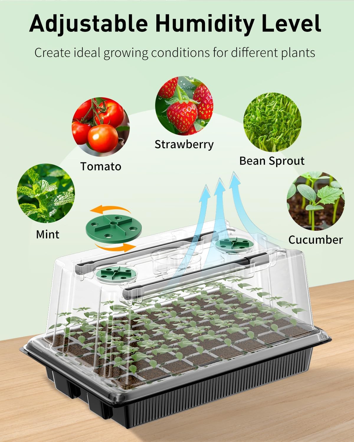 Pawfly Seed Starter Trays, 2 Pack 80 Cells Seed Starter Kit with Adjustable Grow Light Bars & 3.5" Humidity Domes, Seeding Tray with Lids, Reusable Plant Germination Trays for Seed Starting