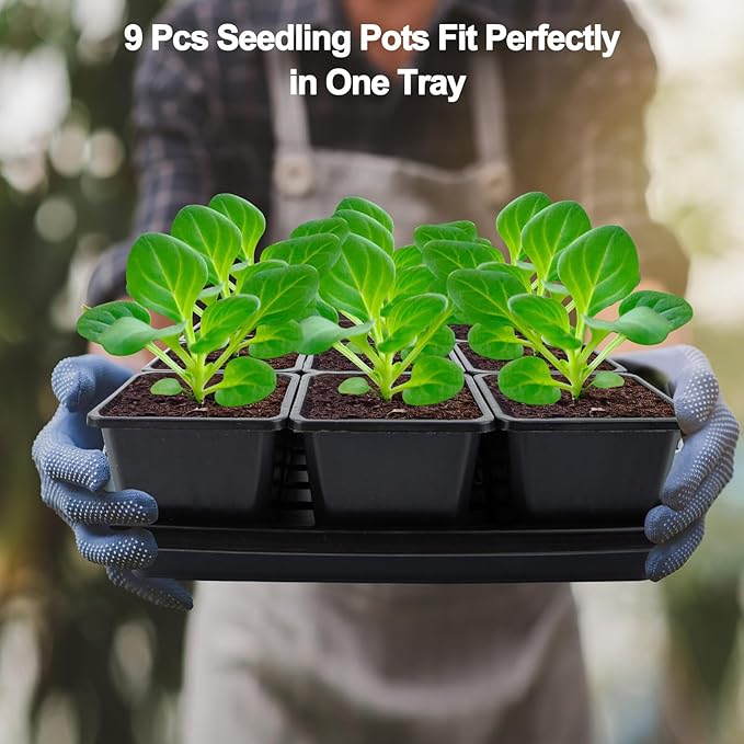 50Pcs 3.5inch Square Nursery Pots with 5Pcs Seed Starting Trays, Seed Starter Tray Kit, Seeds Starting Germination, Seeding Pots with Drain Holes, Small Plant Nursery Propagation