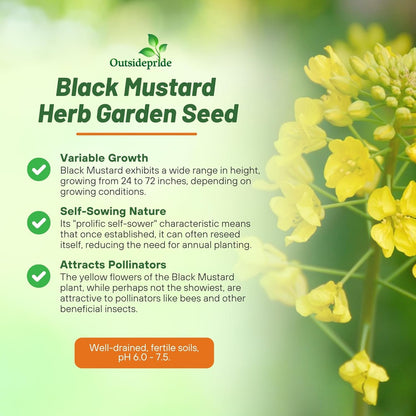 Outsidepride Black Mustard Seeds - 10000 Pcs Nutrient-Rich, Flavorful Annual Microgreen Seeds for Planting, Easy-to-Grow, Ideal for Indoor & Outdoor Cultivation, Soil & Hydroponic Systems
