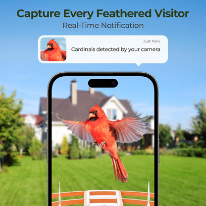 Smart Bird Feeder with Camera Solar Powered for Outside Birdhouse with Camera, AI Identify Birds Species, FHD Live Video, Instant Arrival Alerts, Ideal Gift for Bird Lovers or Family