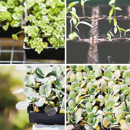 Seed Starter Kit with 100 Peat Pots for Seedlings Seed Starter Tray, Including 100 Square Biodegradable Seed Starter Pods, 5 Plastic Growing Trays with Water Strainer& 20 Plant Labels