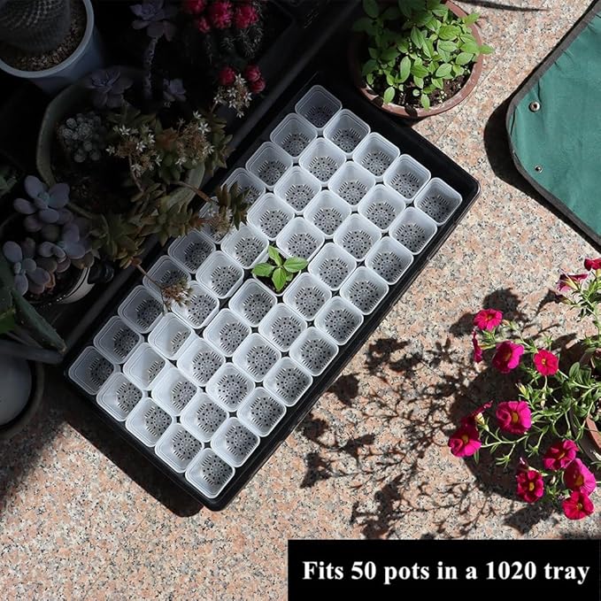 BangQiao 200 Pack 1.95 Inch Tiny Clear Plastic Square Nursery and Seedling Pot, Mini Transplant Seed Starter Planter with Drain Hole for Germination, Herb, Succulent