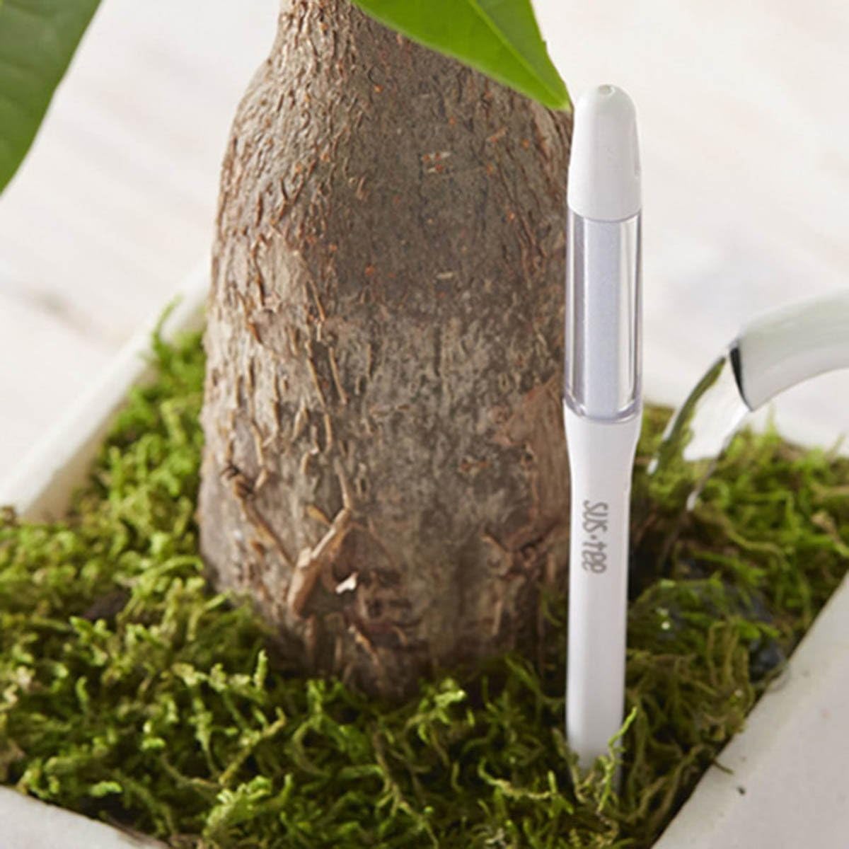 Sustee Aquameter, White, Medium, Set of 2 - Soil Moisture Meter for Potted Plants - Plant Water Sensor (Refillable Style)