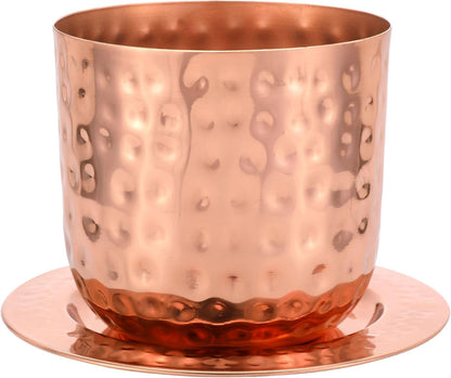 Glytterati - Indoor Watering Can and Planter with Plate.