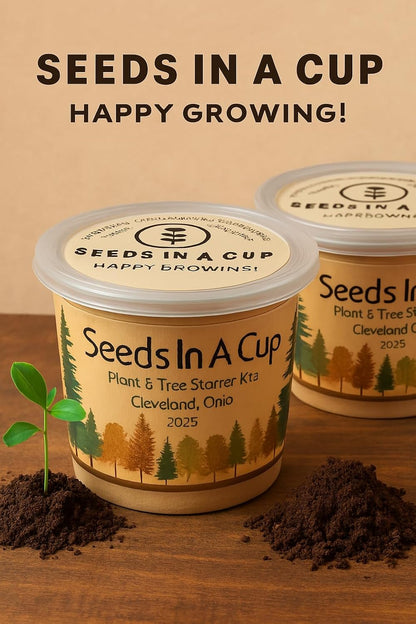 Seeds In A Cup® Sugar Maple Tree Grow Kit – Indoor/Outdoor Seed Starter, Grow Your Own Maple Tree from Seed, Educational Gift for Kids & Adults, Easy Planting Kit