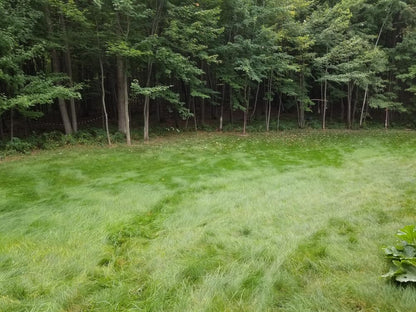 Flawn Seed Kits Mow Less Fine Fescue Grass Seed, Low Maintenance Lawn, Shake to Spread, 2 Lbs Covers up to 1000 Sqft