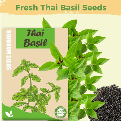 Basil Seed Pods Kit Hydroponic - Refill Herb Pod for All Indoor Herb Garden, 8 Grow Pods with Seeds of Thai Basil, Compatible with All Hydroponics Growing Systems