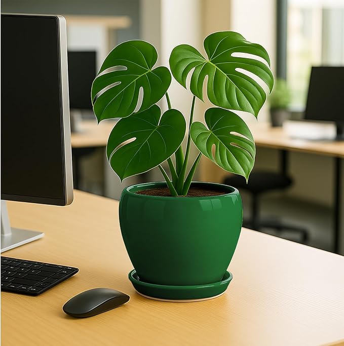 Deep Dream 8 Inch Plant Pots- Ceramic Pots for Plants with Drainage Hole and Saucer, Large Planter Pot for Indoor Plants Outdoor Decor, Green