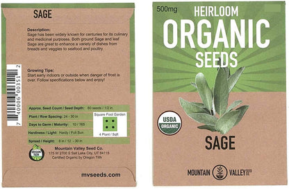 Organic Sage Seeds - 500 mg Packet - Non-GMO Herb Garden Seeds - Culinary Sage for Cooking - Perennial Gardening