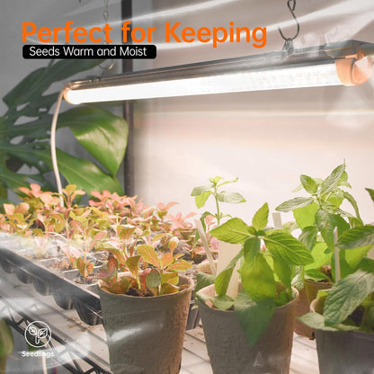 Bstrip Indoor Greenhouse with Grow Light, Mini Green house with 5 Pack T8 Full Spectrum Plant Lights, Plant Shelf with Tent for Indoor Plant, Seed Starting, Seed Tray, 29.5"x13.8"x71"