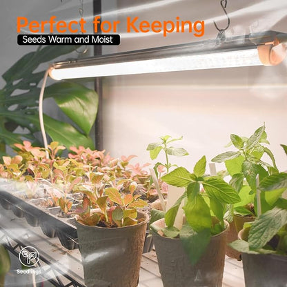 Bstrip Indoor Greenhouse with Grow Light, Large Plant Shelf with 8 Pack T8 Full Spectrum Plant Lights and Cover, mini Greenhouse for Indoor Plant, Seed Starting (58" L x 13.8" W x 59" H)