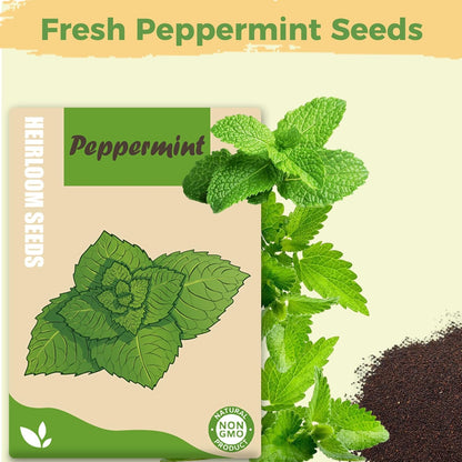 Herb Seed Pods Kit Hydroponic - Refill Pod for All Indoor Garden, 8 Grow Pods with Seeds of Peppermint, Compatible with All Hydroponics Growing Systems