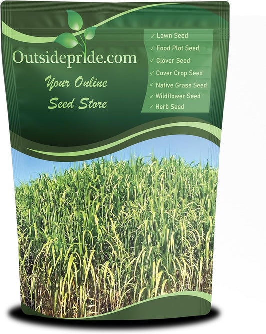 Outsidepride Switchgrass Seed - 1 lb. Perennial Hardy, Drought & Flood Tolerant Native Grass Seed Ideal Fast-Growing Grasses for Erosion Control, Wildlife Forage & Food Plots, Thrives in Poor Soil