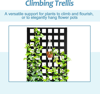 Metal Planter Box with Trellis, Raised Garden Bed with Privacy Screen, Outdoor Standing Flower Beds with Drainage Hole for Climbing Plants, Vine, 23" L x 12" W x 63" H, Black