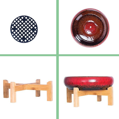 ARTKETTY Succulent Pots - 10 Inch Ceramic Bonsai Pots with Drainage Stand, Large Shallow Planters for Indoor Plants Decorative Garden Cactus Flower Plant Container Bowl