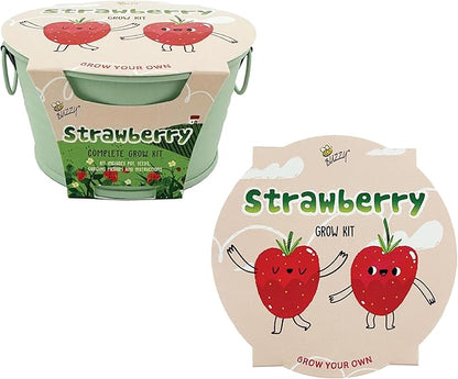 BUZZY Seeds Sage Green Painted Basin Strawberry Grow Kit, Indoor Fruit Plant Starter for Kids and Adults, Fun DIY Gardening Gift, Grow Your Own Snack, Party Favor or Holiday Present