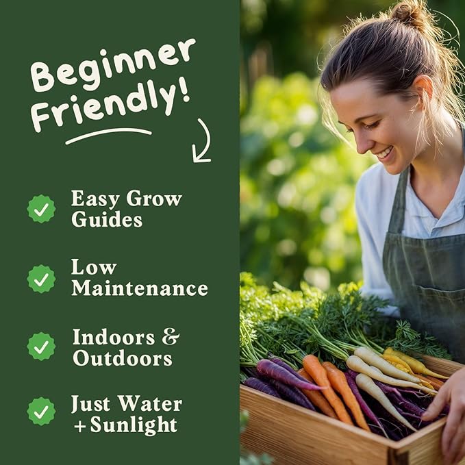 Seedboy Organic Rainbow Carrot Seeds for Planting Indoor and Outdoor, Non-GMO and USDA Certified Vegetable Seed Packet for Hydroponic Garden Indoor or Planting Outdoors (Rainbow Carrots)