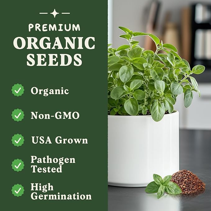 Seedboy Organic Oregano Seeds for Planting Indoor and Outdoor, Non-GMO and USDA Certified Herb Seed Packet for Hydroponic Garden Indoor or Planting Outdoors (Italian Oregano)