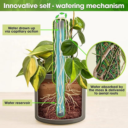 DUSPRO Self-Watering Natural Green Forest Moss Pole, Easy to Use Moss Sticks for Indoor Plants, Climbing Plant Support Stake with Self-Watering Feature, Moss Pole Monstera Plant Support 2pcs 23''