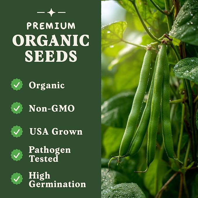 Seedboy Organic Green Bean Seeds for Planting Indoor and Outdoor, Non-GMO and USDA Certified Vegetable Seed Packet for Hydroponic Garden Indoor or Planting Outdoors (Provider Green Beans)