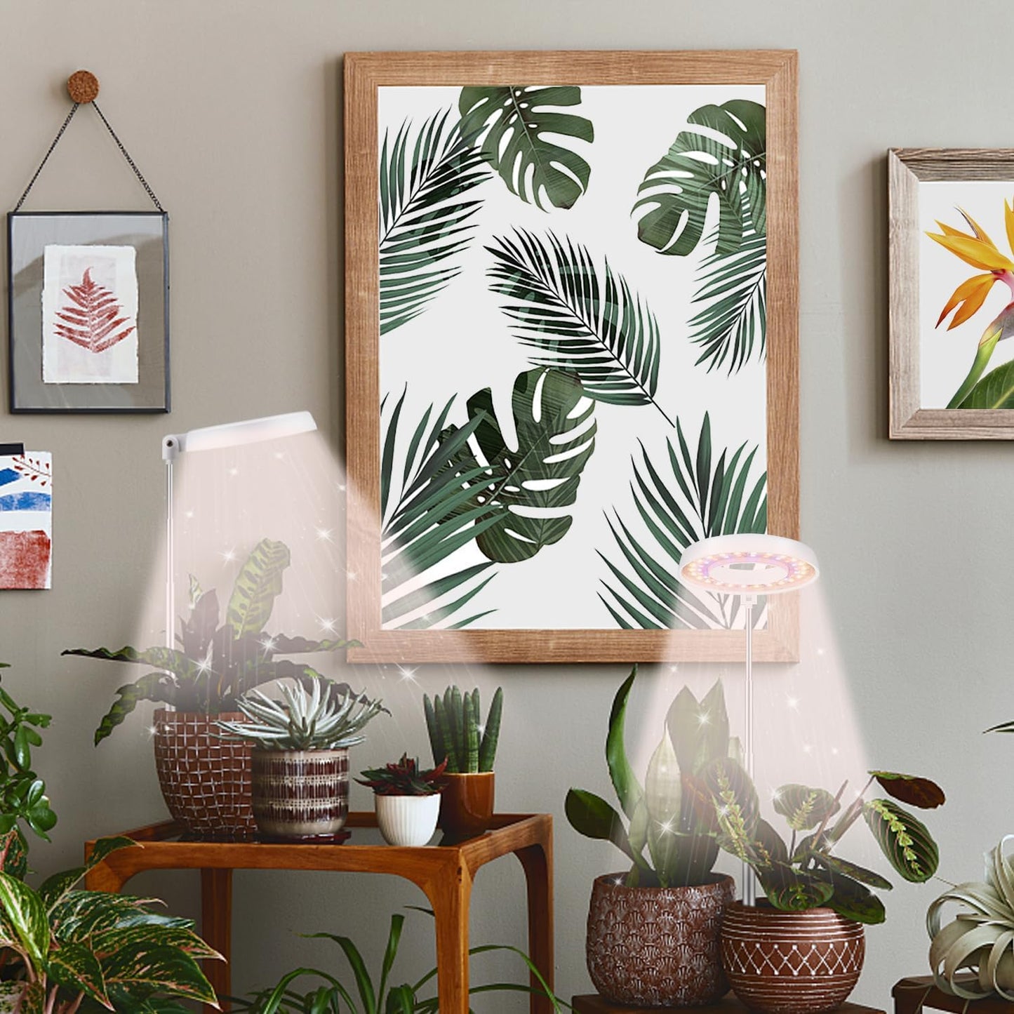 GooingTop LED Grow Light, Halo Plant Growing Lamp for Indoor Plants Growth, Full Spectrum Low Light for Small Plants,Timer 4/8/12/18 Hrs & Variable Spectrum White Red Blue,3 Pack