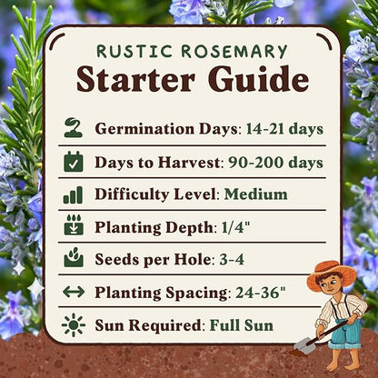 Seedboy Organic Rosemary Seeds for Planting Indoor and Outdoor, Non-GMO and USDA Certified Herb Seed Packet for Hydroponic Garden Indoor or Planting Outdoors (Rosemary)