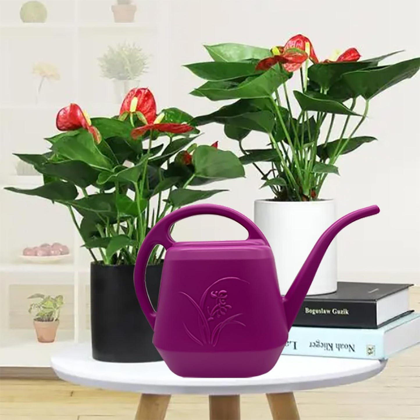 Plant Watering Can - 1/2 Gallon - Rose Red