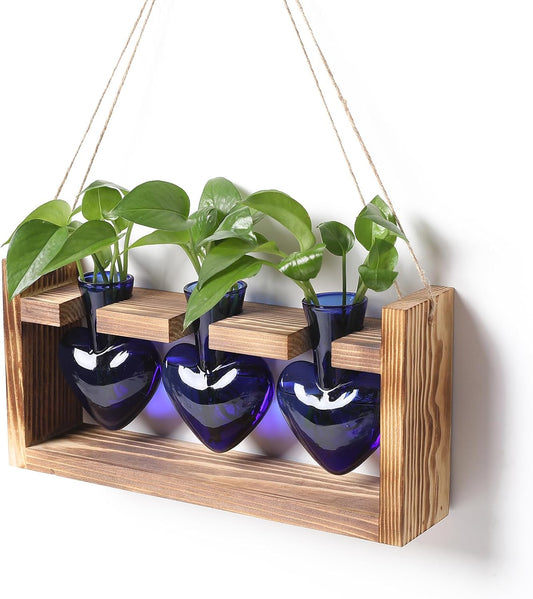 Plant Terrarium Propagation Stations Hydroponics Home Garden Decoration Gift for Women with Wooden Stand Heart Shaped Colored Glass Vase