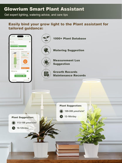 GLOWRIUM Smart LED Grow Lights for Indoor Plants, Desk Plant Light with Bluetooth App Control, 12W Full Spectrum Grow Lamp, Height Adjustable 16"-23", Auto Timer, Watering Reminder for Small Plants