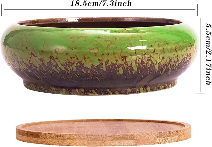 ARTKETTY Succulent Pots - 7.3 Inch Ceramic Bonsai Pots with Drainage Tray, Large Shallow Succulent Planters for Indoor Cactus Plants Decorative Flower Plant Container Bowl