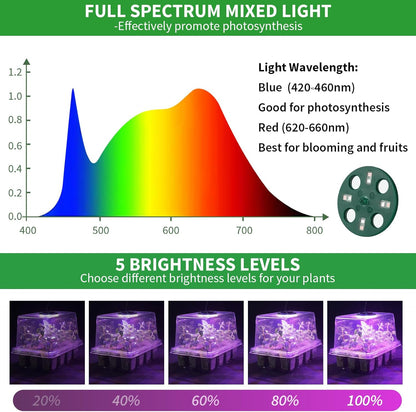Seed Starter Tray with Plant Light, 2 Pack Grow Lights for Seed Starting Kit with Humidity Domes, Timing Controller Adjustable Brightness for Greenhouse Propagator Station Growing Transparent