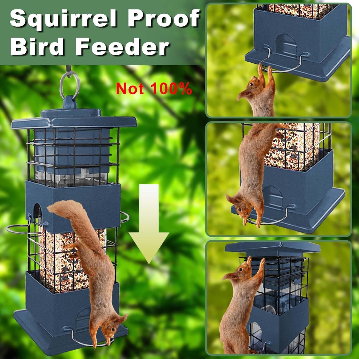 Squirrel Proof Bird Feeder,3lb Bird Feeders for Outdoors Hanging, Metal Birds Feeder with 4 Feeding Ports, Wild Birds Feeder for Cardinal, Finch, Sparrow (Blue)